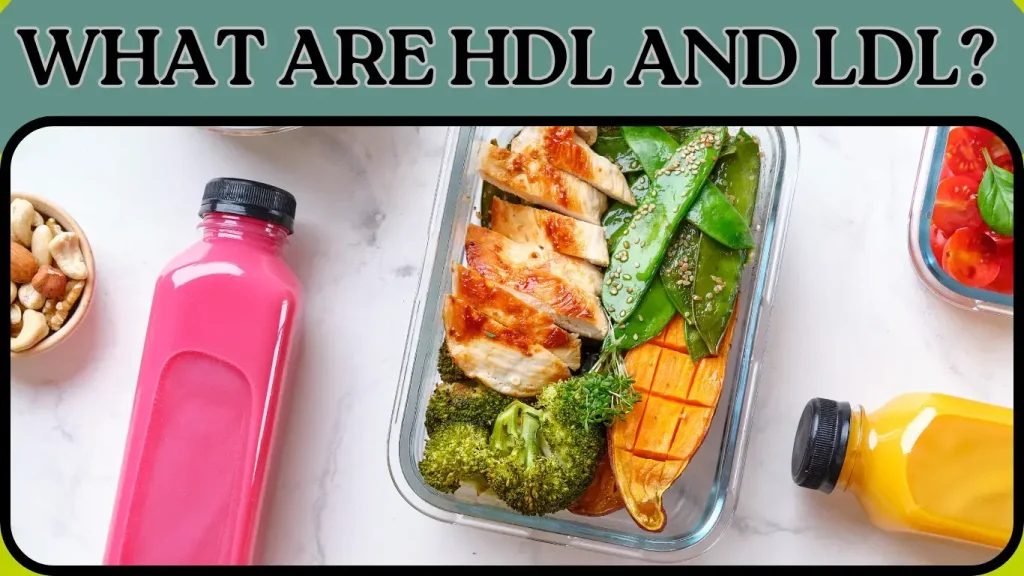 What Are HDL and LDL?