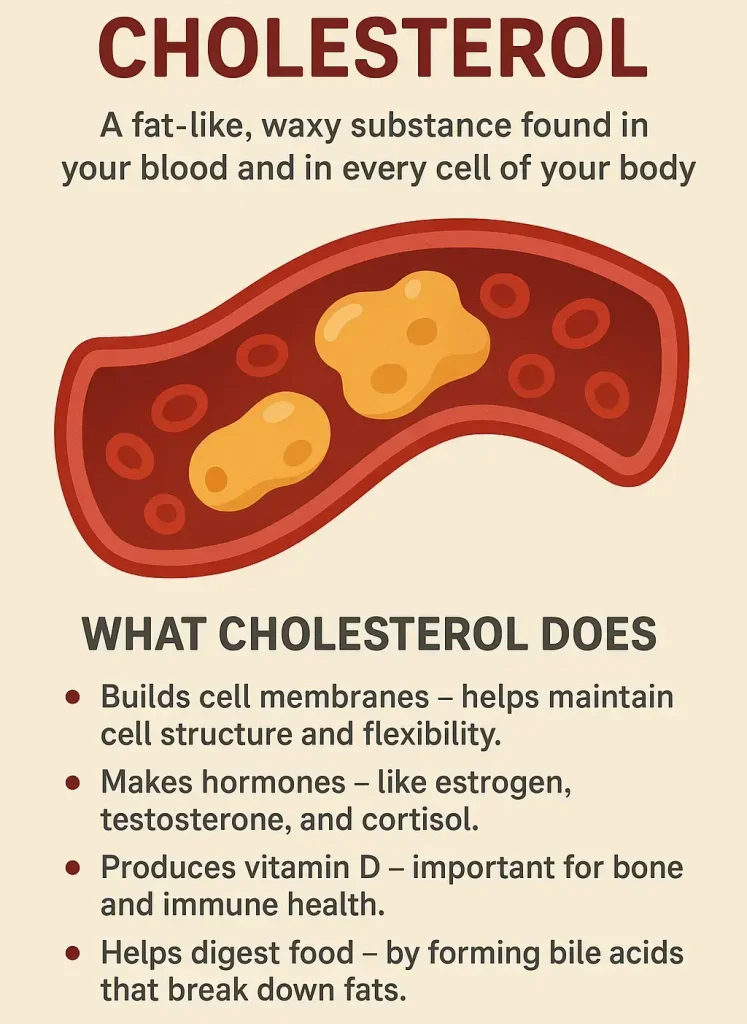 what is cholesterol?